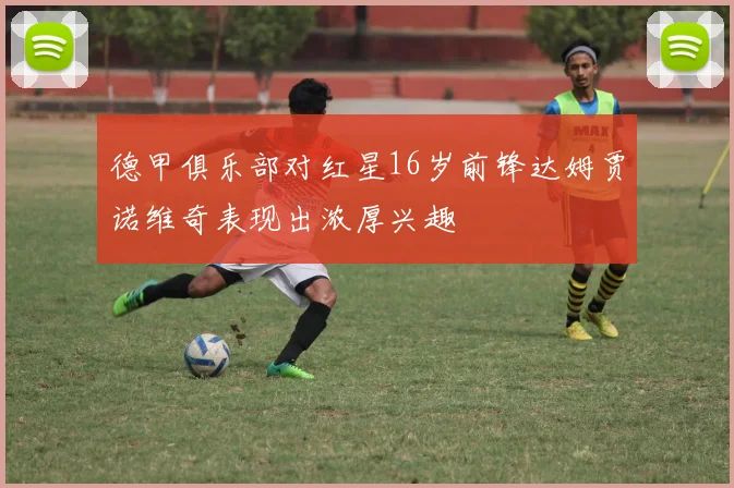 德甲俱乐部对红星16岁前锋达姆贾诺维奇表现出浓厚兴趣