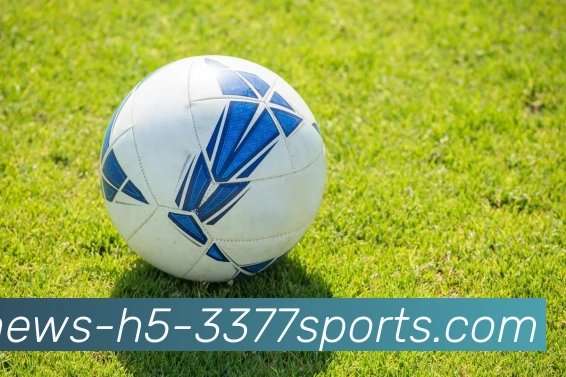 3377体育平台生态图